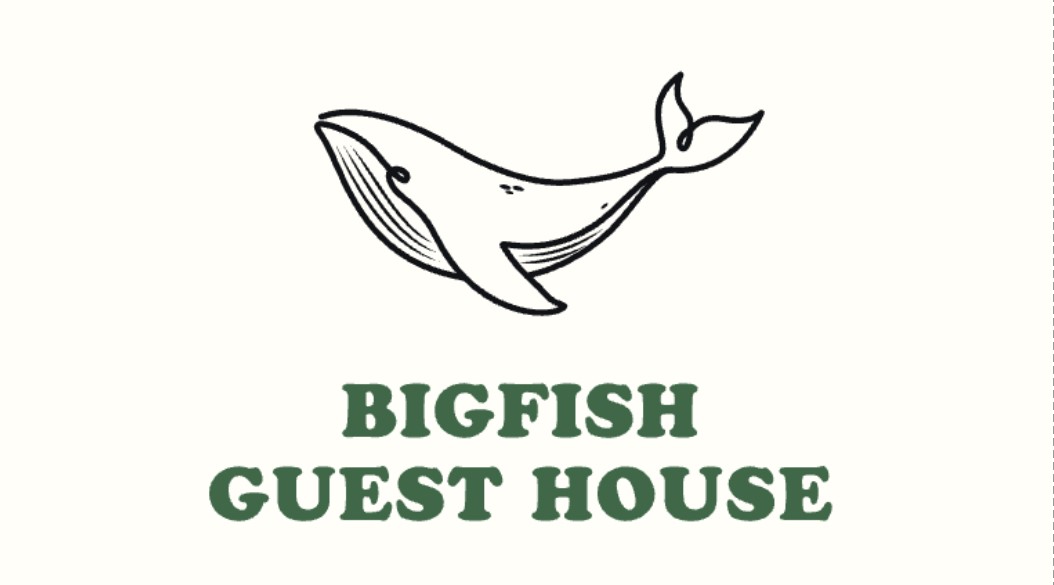 BIGFISH GUEST HOUSE